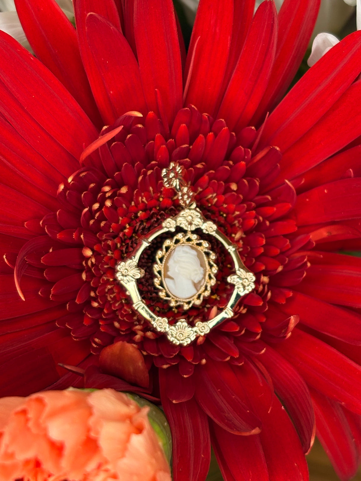 10k Doble Cameo Frame