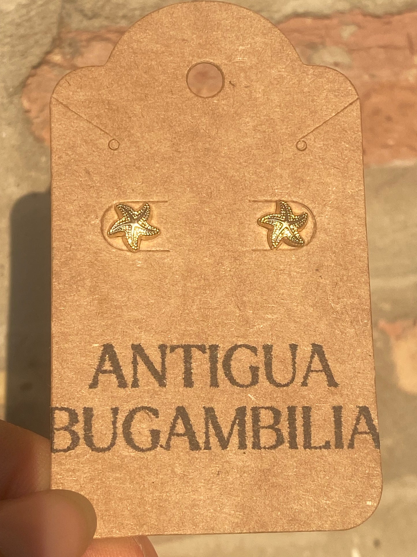 14k Estrellita De Mar